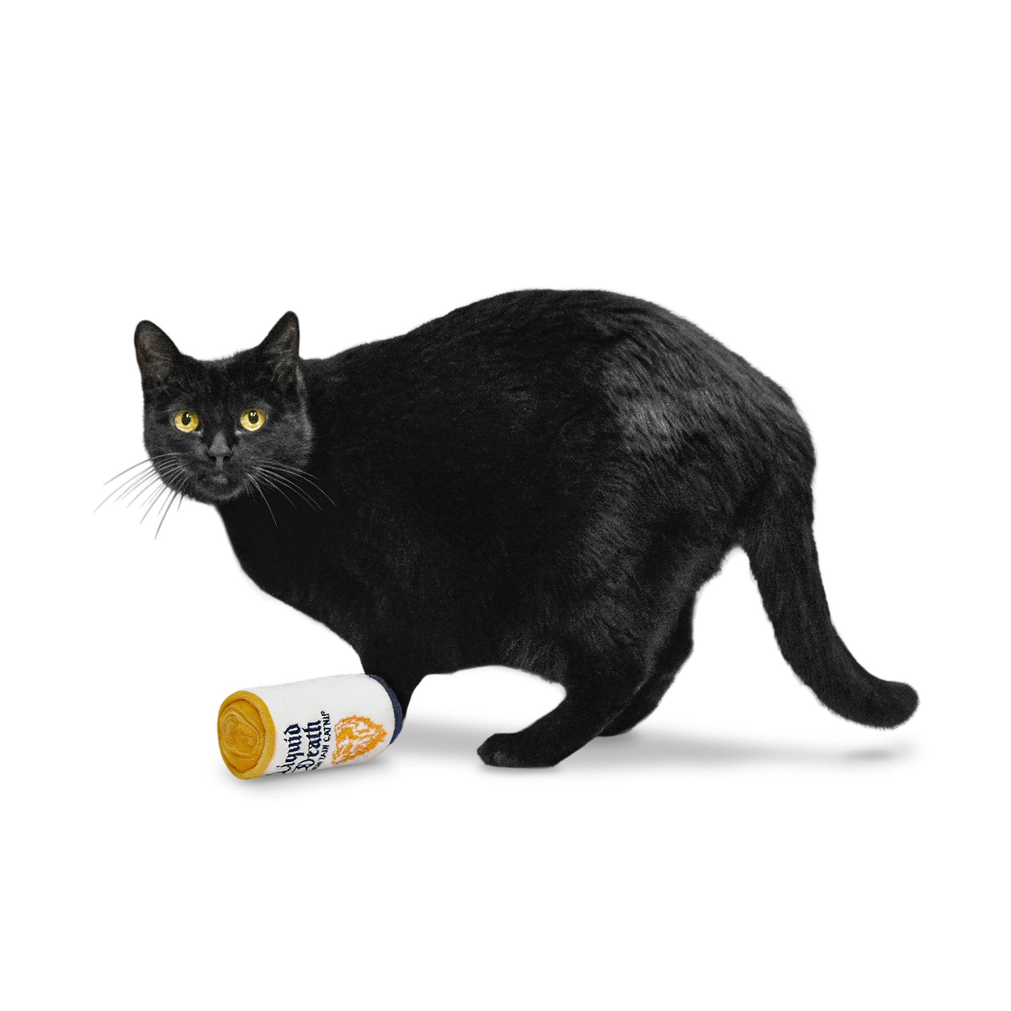 Chewed To Death Cat Toy